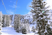 Meribel - Besneeuwde bomen